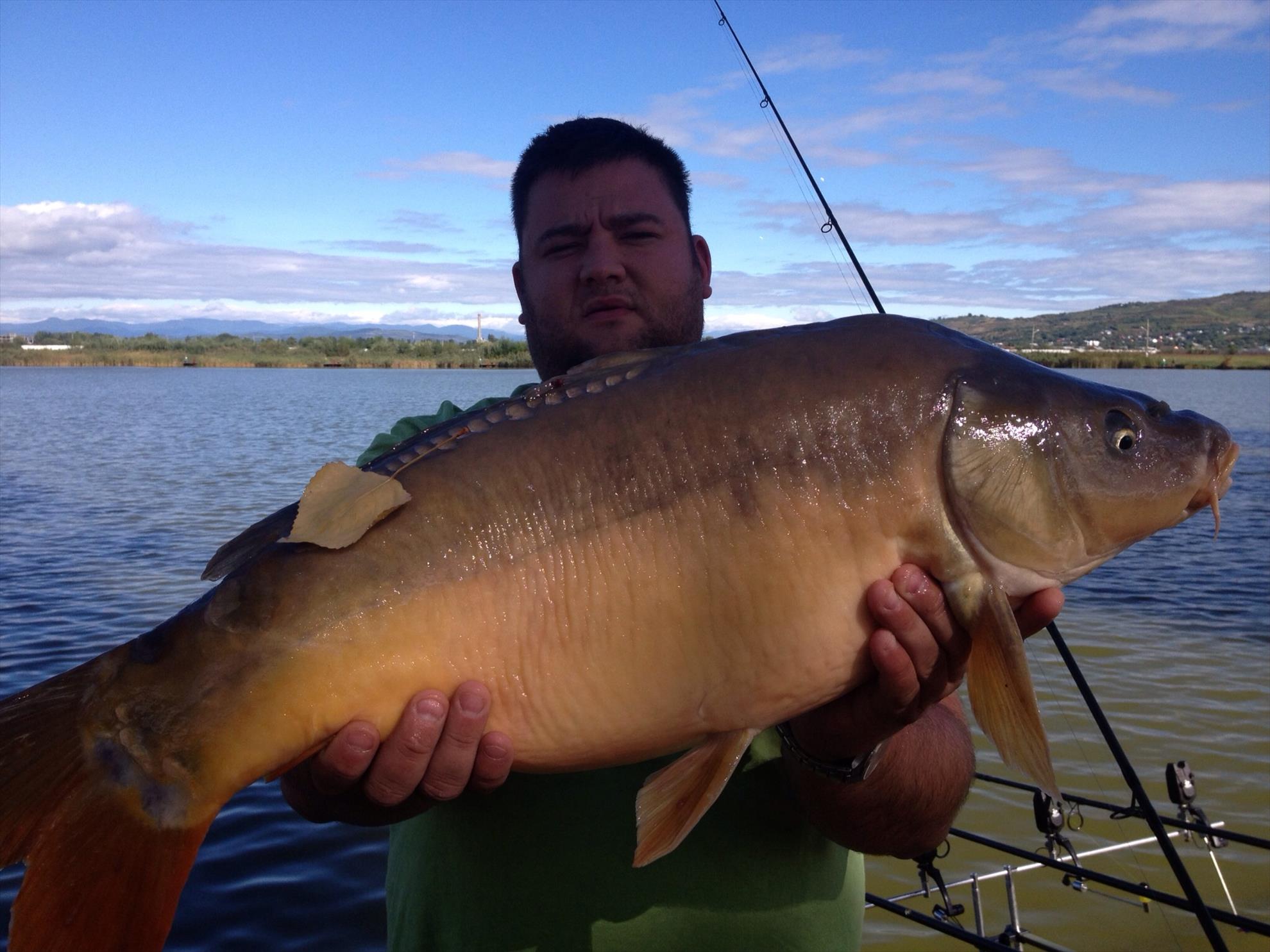 Pleasa 2013 - image11111111.jpg